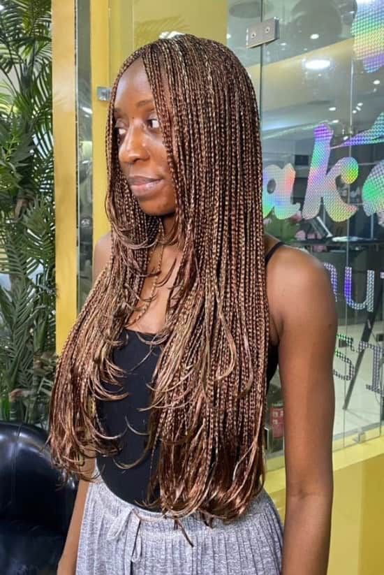 Layered Braids With Blonde Highlights
