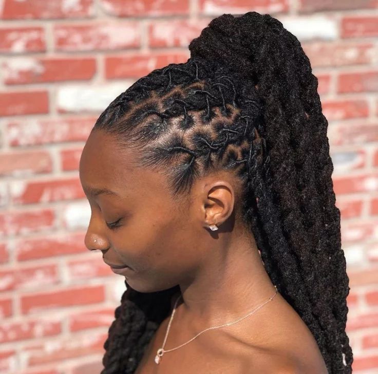 Mid-Back Black Ponytail With Intricate Braided Front — Loc Ponytail