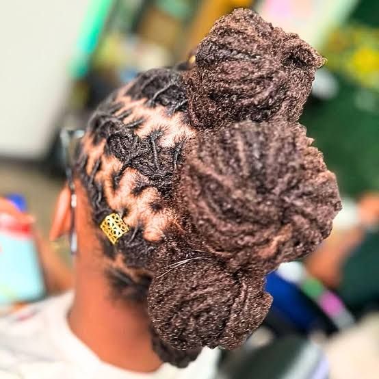 Dark Brown Two Buns Hairstyle — Loc Bun