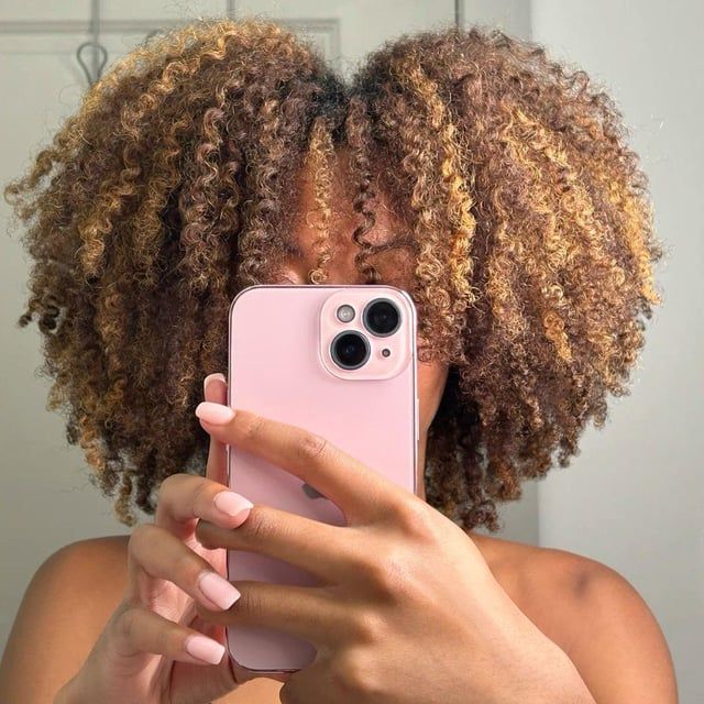 Honey Blonde Highlights On Black Base Visual Idea Honey Blonde Highlights On Black Base Visual Idea — Honey Blonde on Black Women