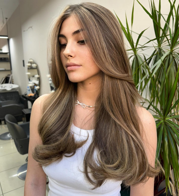 Front View Mid-Back Light Brown with Ash Blonde Highlights Front View Mid-Back Light Brown with Ash Blonde Highlights — Light Brown Highlights
