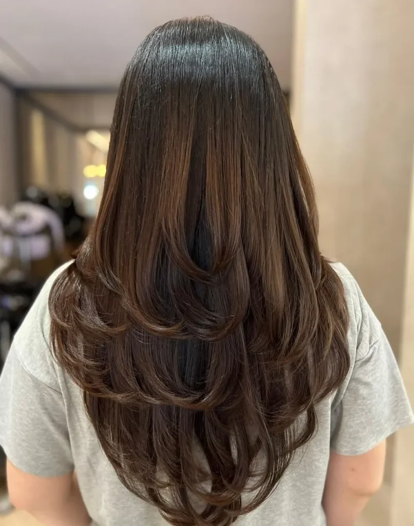 Dark Brown Layered V-Cut — V Cut Hair