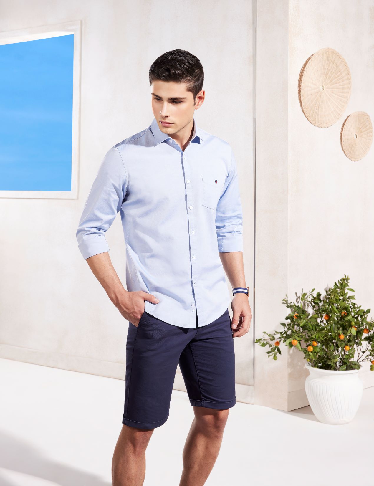 Light Blue Shirt with Navy Tailored Shorts Light Blue Shirt with Navy Tailored Shorts — Outfits for Men