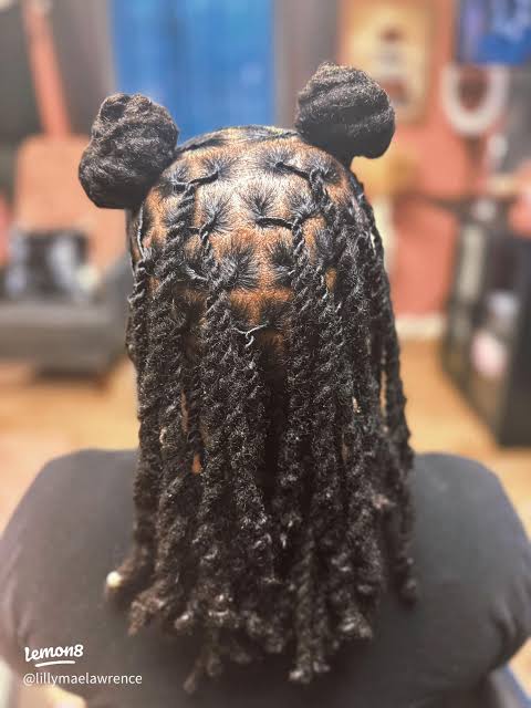 Twists Styled into Space Buns — Two Strand Twists