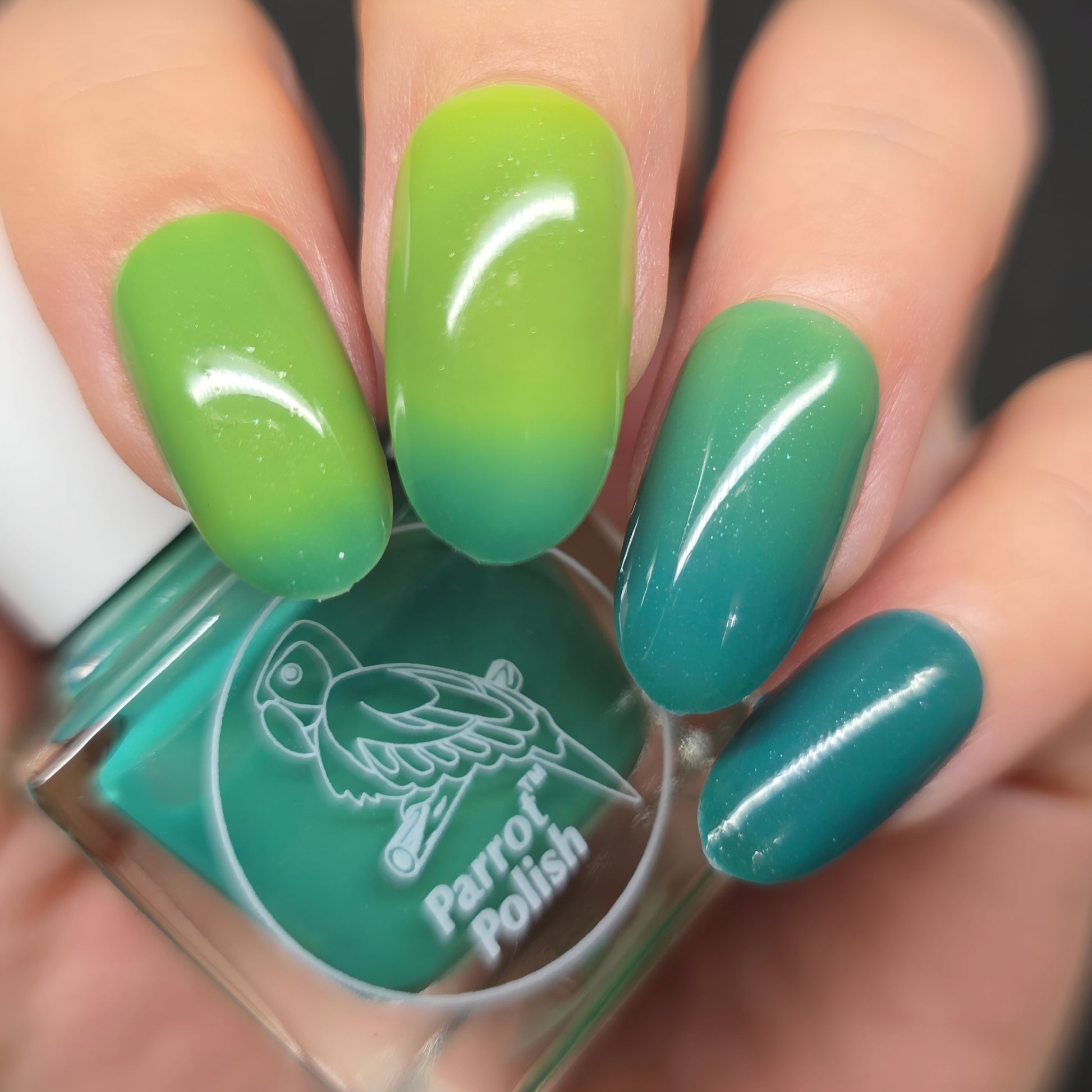 Visible Visual Idea Visible Visual Idea — Thermal Nails