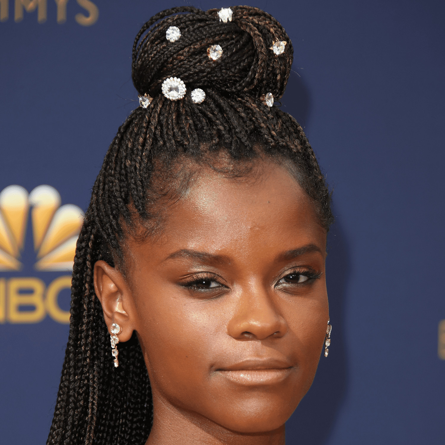 Jeweled Black Updo Bun Jeweled Black Updo Bun — Knotless Braids Bun
