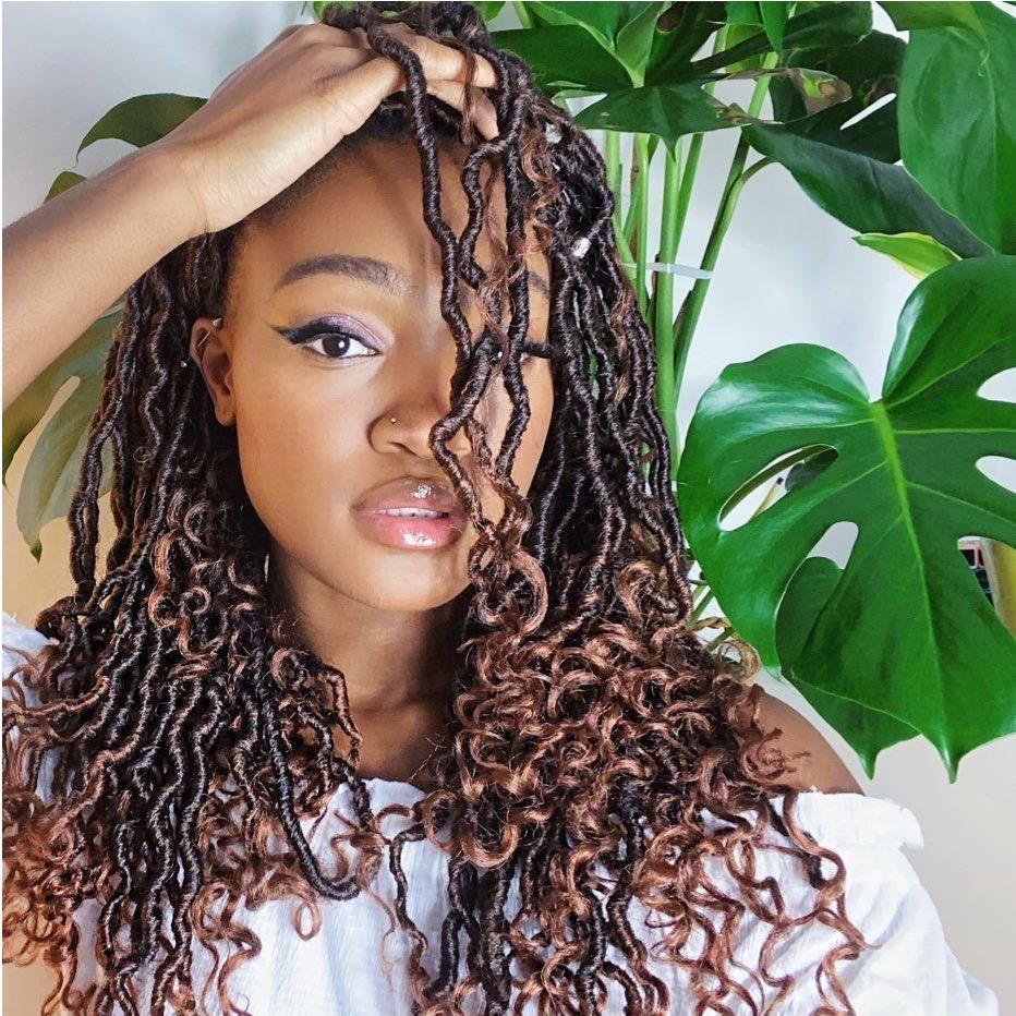 Thick Curly Dark Brown With Blonde Highlights Thick Curly Dark Brown With Blonde Highlights — Goddess Locs