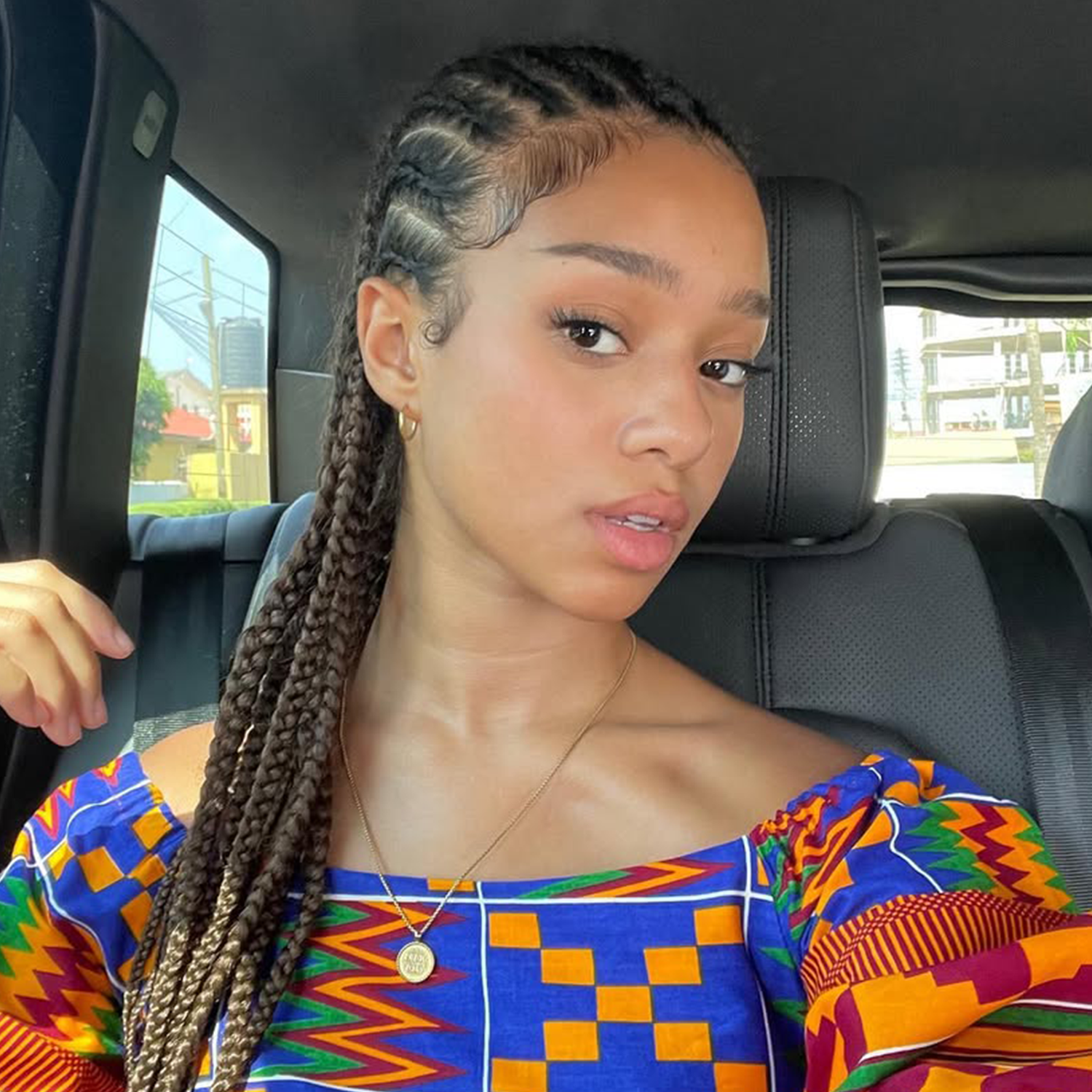 Simple Double Braids on Dark Brown Hair — Easy Hairstyles