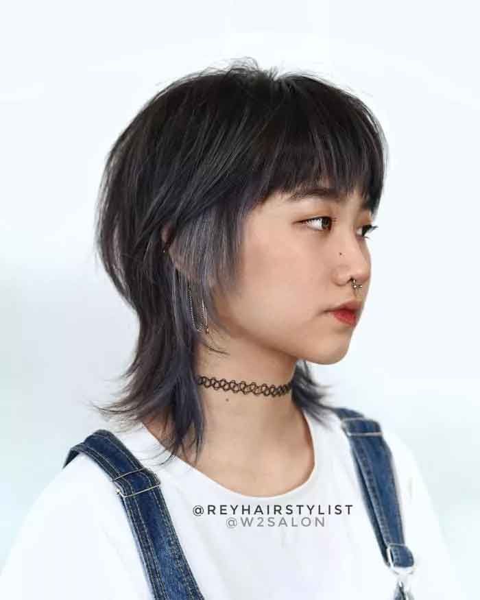 Dark Base With Grey Highlights Visual Idea — Wolf Cut