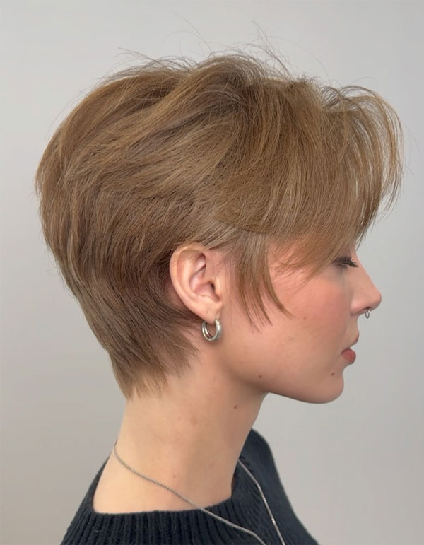 Ear Tousled Ash Blonde Pixie Ear Tousled Ash Blonde Pixie — Short Layered Hair