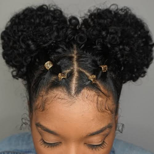 Double Puffs With Gold Clips Double Puffs With Gold Clips — Puff Hairstyles Natural Hair
