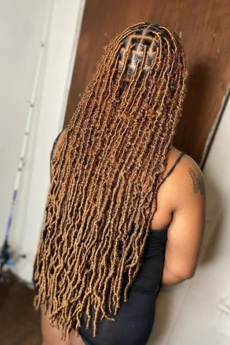 Light Brown Wavy Locs Back View — Distressed Locs