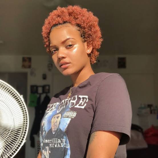 DIY Bright Ginger Short Afro — Ginger Hair on Black Women