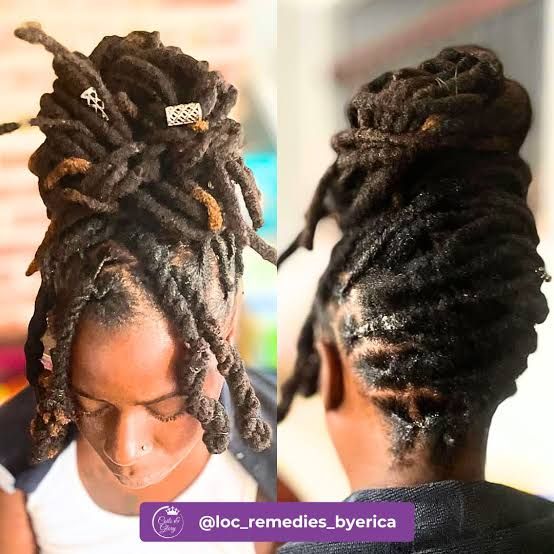 Dark Brown Neatly Wrapped High Bun — Loc Bun