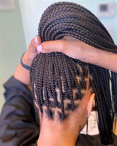 Neatly Sectioned Small Knotless Braids