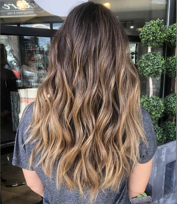 Back View Visual Idea Back View Visual Idea — Caramel Brown Hair