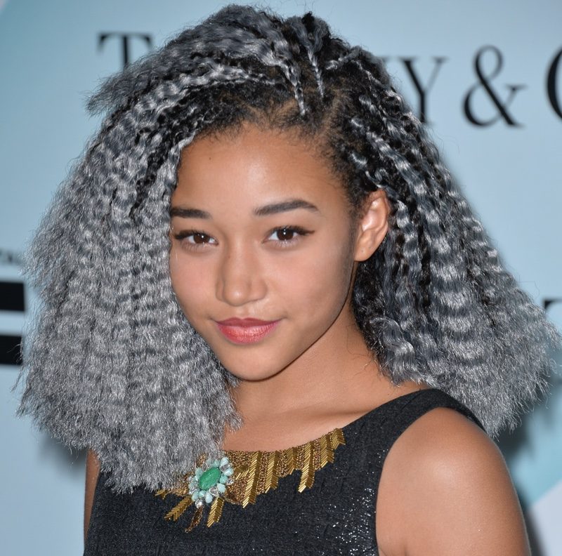 Crimped Grey Braids — Y2K Hairstyles