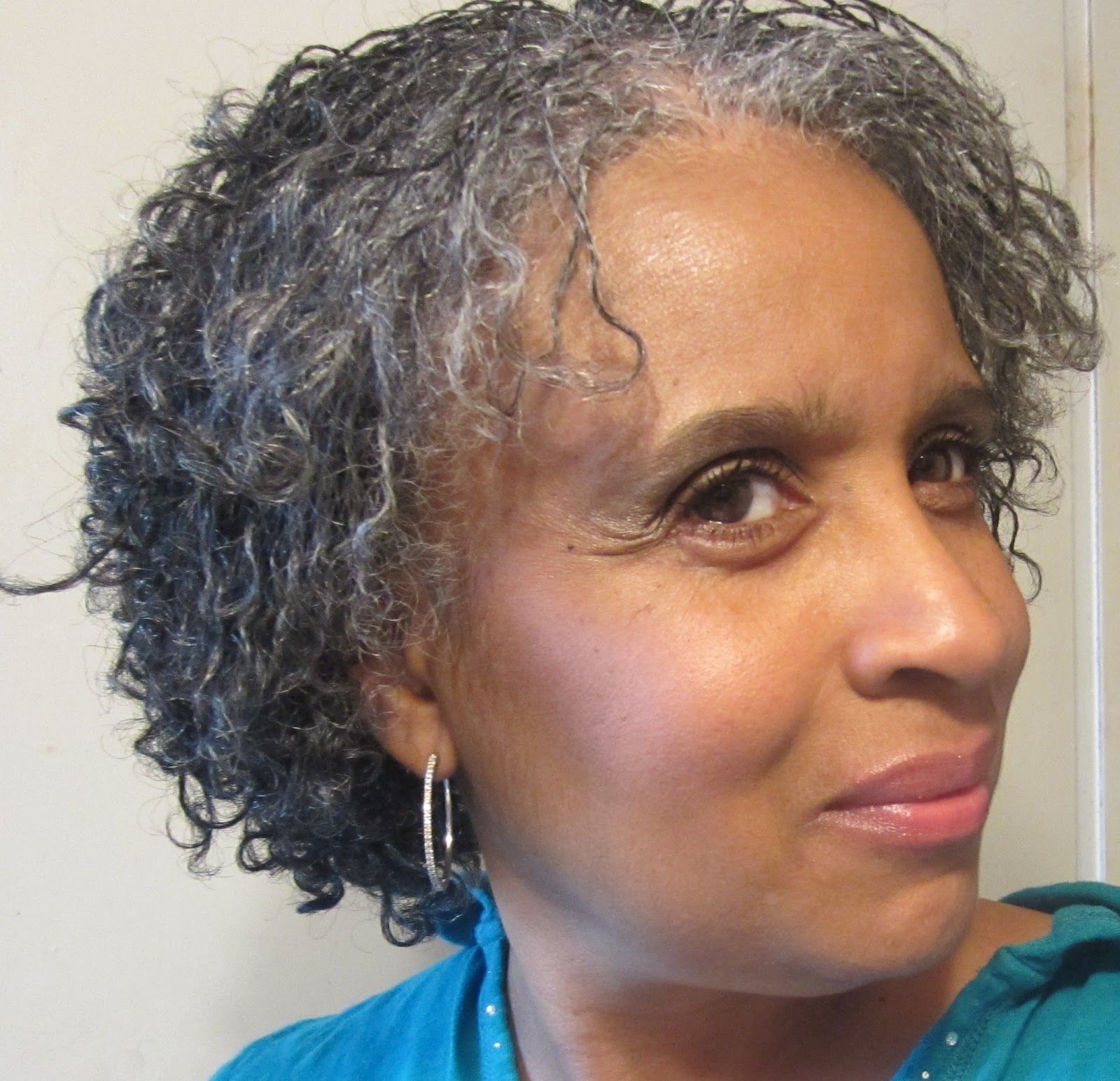 Short Twists Visual Idea Short Twists Visual Idea — Gray Natural Hair