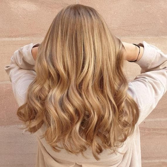 Back View Visual Idea Back View Visual Idea — Honey Blonde
