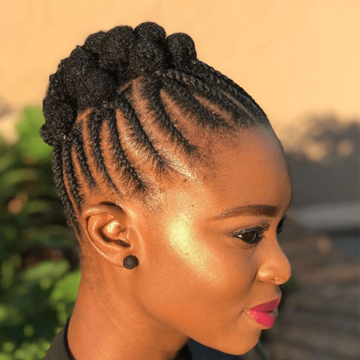 Black Visual Idea — Natural Braided Hairstyles