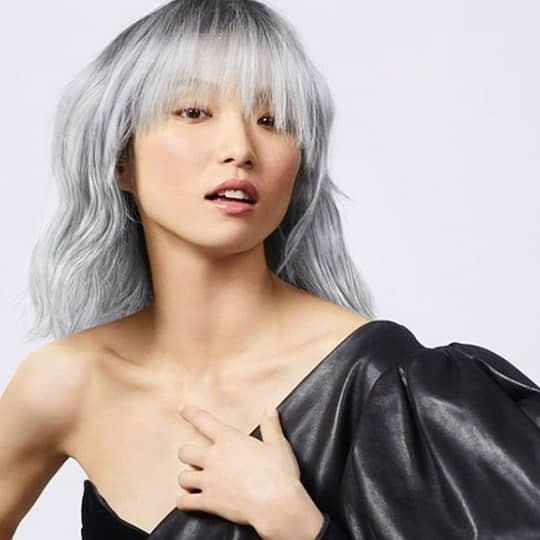 Collarbone Visual Idea — Silver Hair