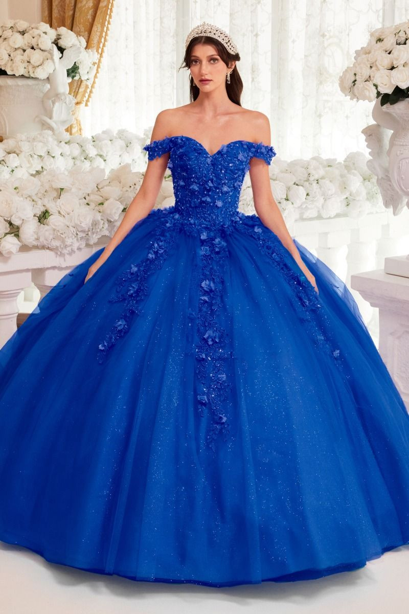 Royal Blue Ballgown with 3D Floral Appliques — Quinceanera Guest Outfits
