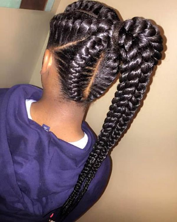 Dual Black Fishtail Braids