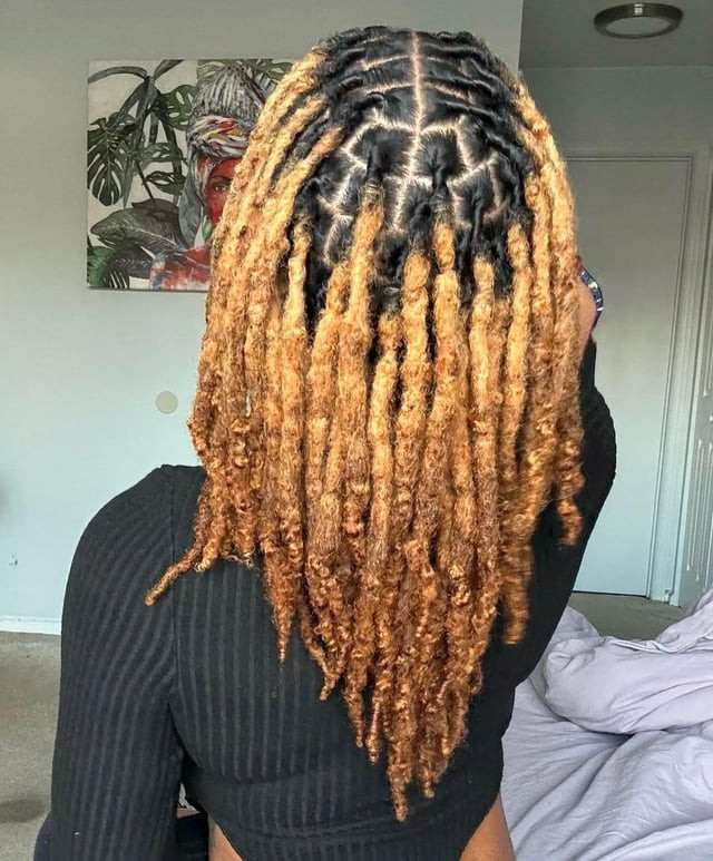Mid-Back Coily Locs Honey Blonde — Honey Blonde Locs
