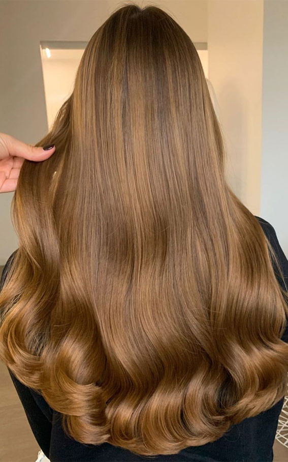 Back View Visual Idea Back View Visual Idea — Golden Brown Hair