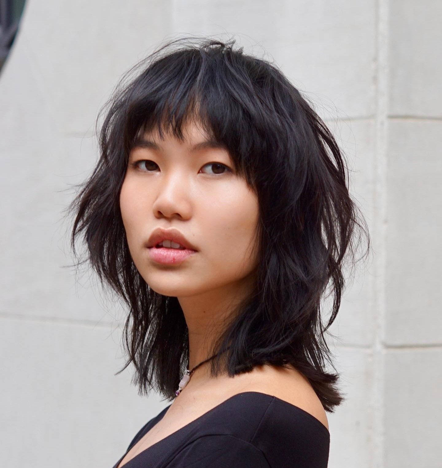 Curtain Bangs Black Collarbone Shaggy Wolf Cut — Wolf Cut for Straight Hair