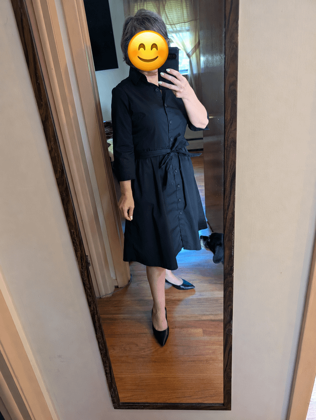 Black Cotton Shirt Dress with Self-Tie Waist for a Versatile Interview Black Cotton Shirt Dress with Self-Tie Waist for a Versatile Interview — Interview Dresses