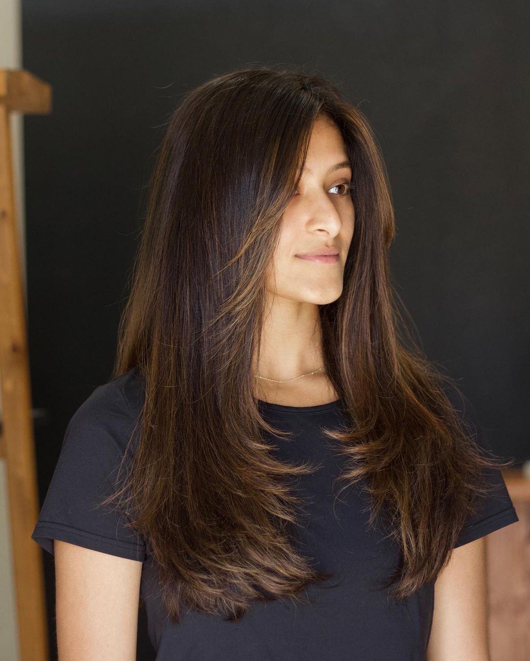 Natural Dark Brown Soft Layers Natural Dark Brown Soft Layers — Hairstyles for Long Hair