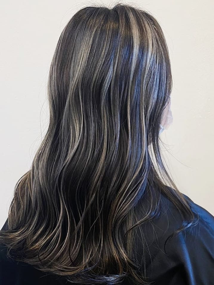 Layers Visual Idea Layers Visual Idea — Silver Highlights on Black Hair