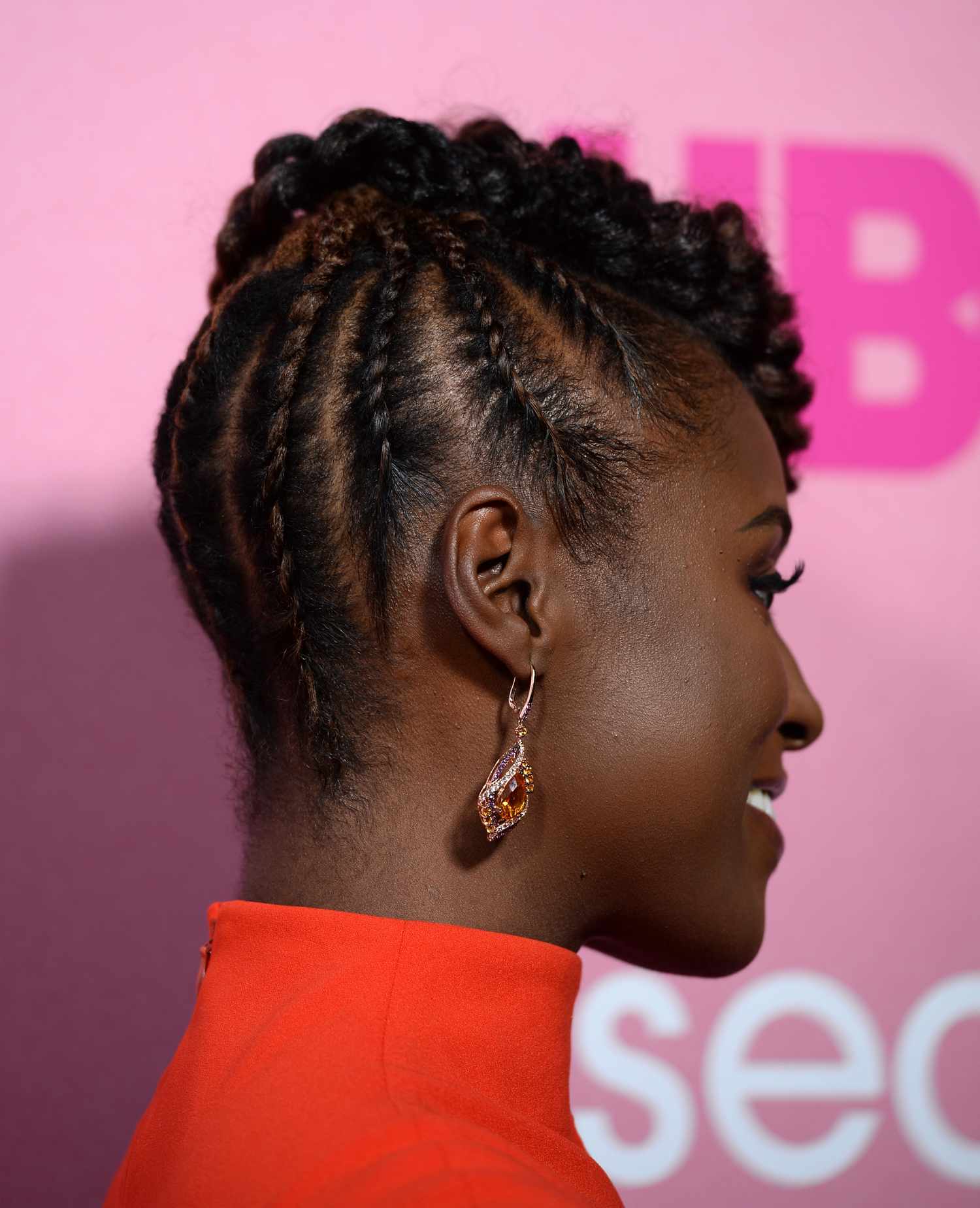 Thick Black Braids with Brown Undertones — Feed In Braids