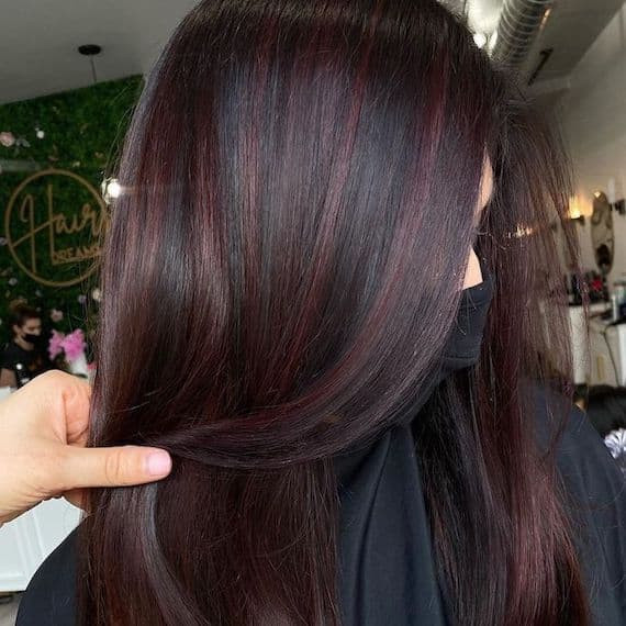 Visual Idea Visual Idea — Red Highlights on Black Hair