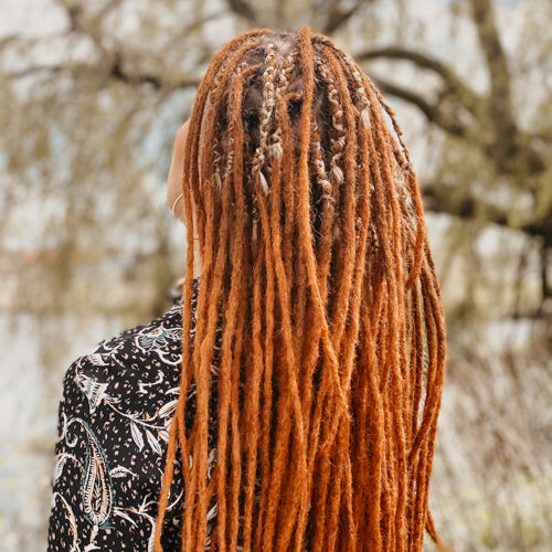 Long Coily Locs With Ginger and Blonde Highlights Long Coily Locs With Ginger and Blonde Highlights — Ginger Locs