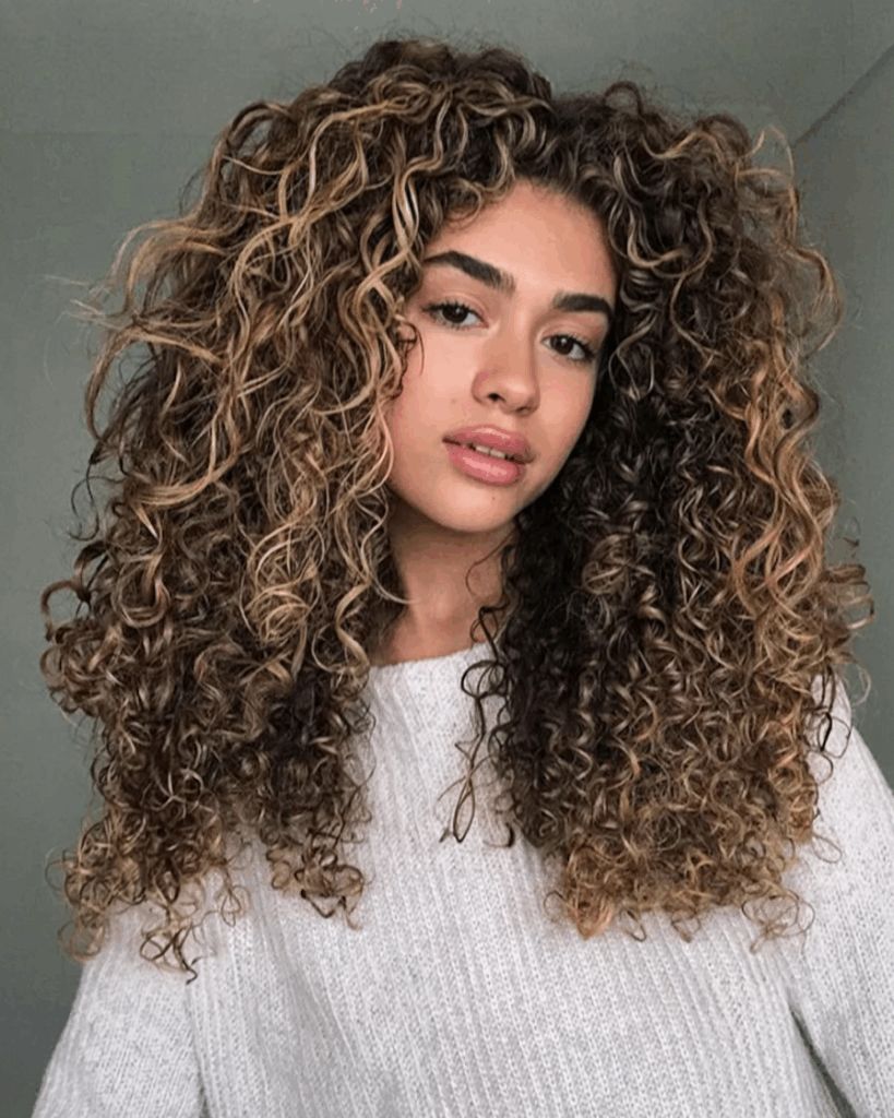 Dark Brown With Blonde Highlights Visual Idea Dark Brown With Blonde Highlights Visual Idea — Haircuts for Curly Hair