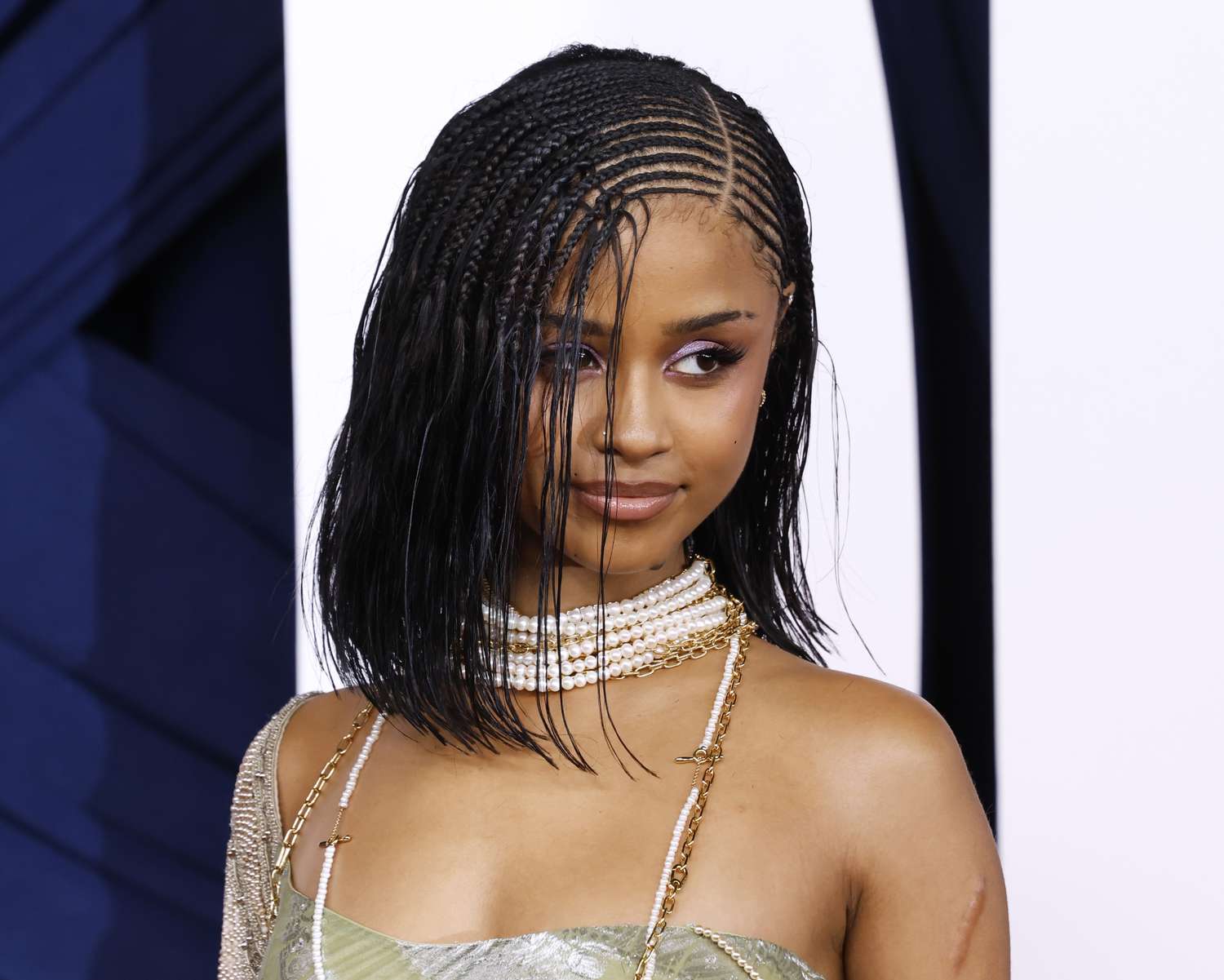 Wet Look Box Braid Bob Wet Look Box Braid Bob — Easy Braided Hairstyles