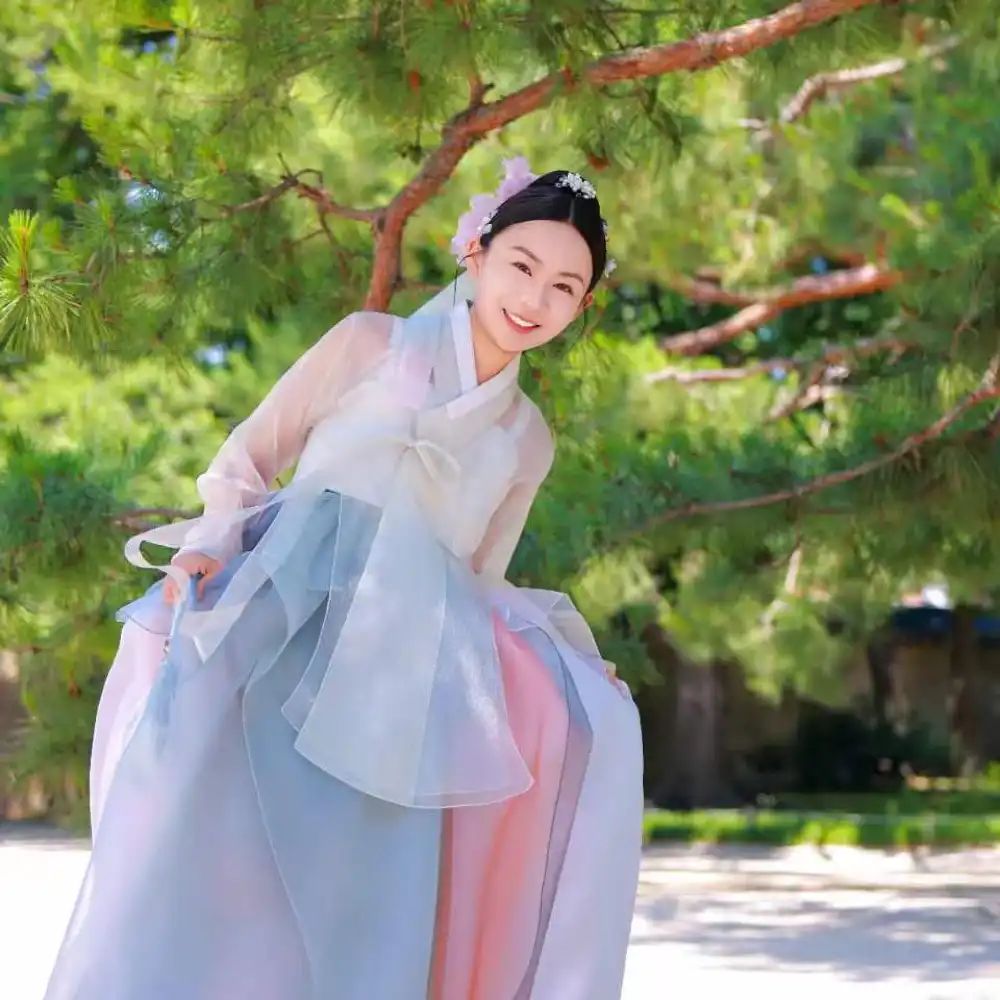 Cultural Grace: Pastel Hanbok with Sheer Sleeves — Seoul Outfits