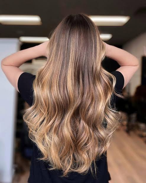 Back View Visual Idea — Bronde Hair