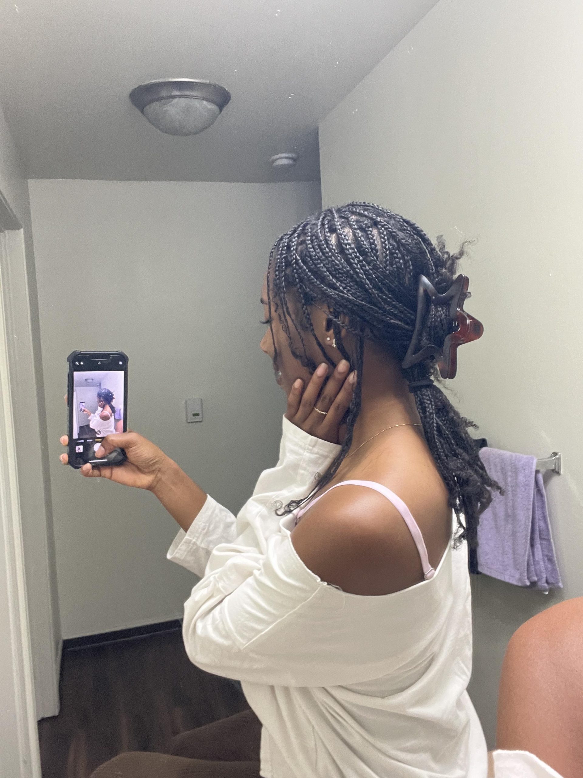 Mid-Back Visual Idea — Mini Braids
