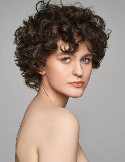 Short Dark Brown Curly Roller Set Short Dark Brown Curly Roller Set — Roller Set Hairstyles