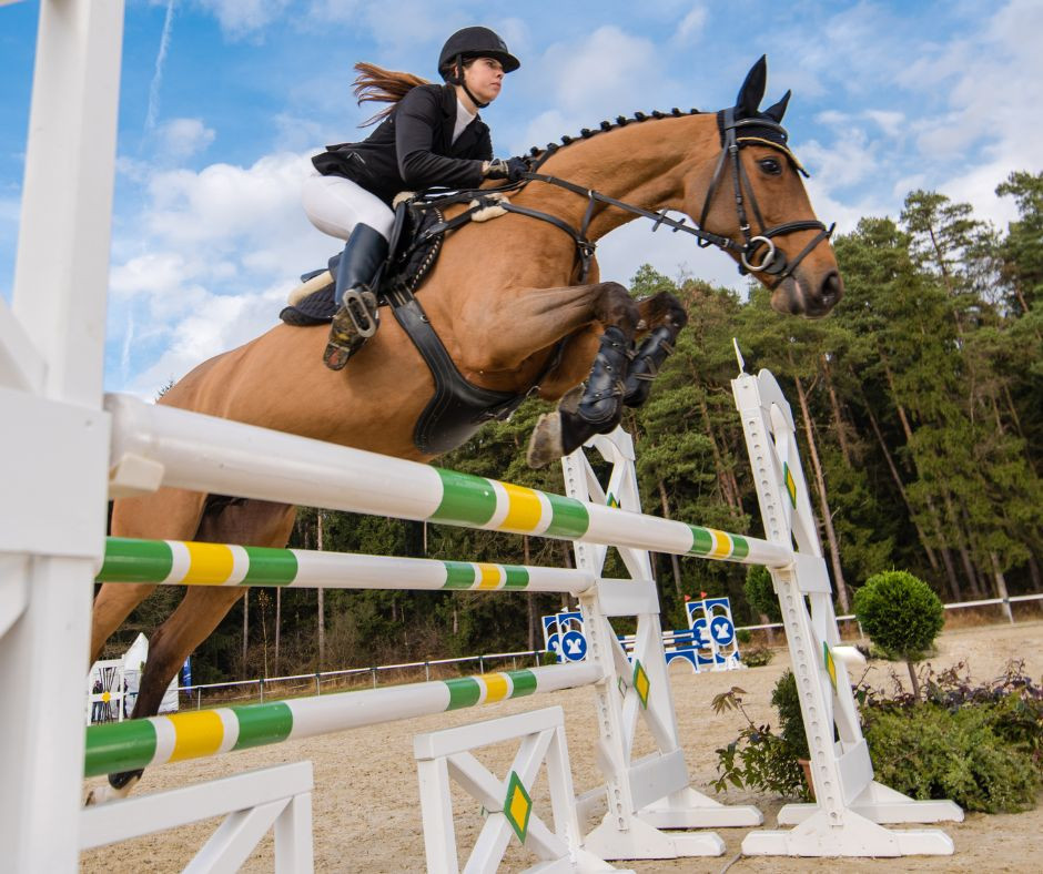 Equestrian Competition Outfit Idea Equestrian Competition Outfit Idea — Equestrian Outfits