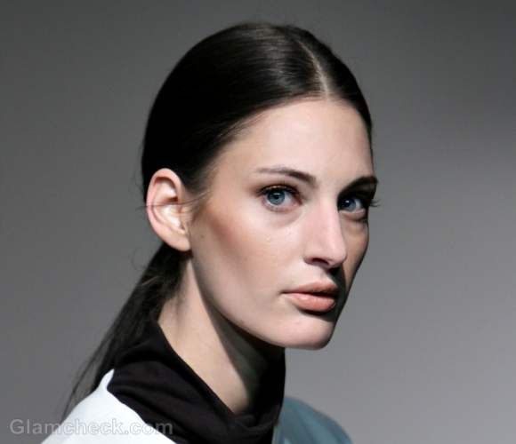 No Bangs Collarbone Dark Brown High-Shine Ponytail — Sleek Low Ponytail