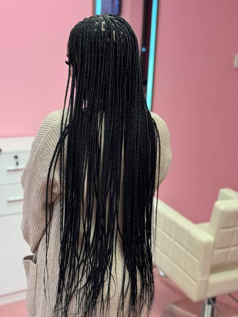 Dense Mid-Back Black Braids — Small Knotless Braids