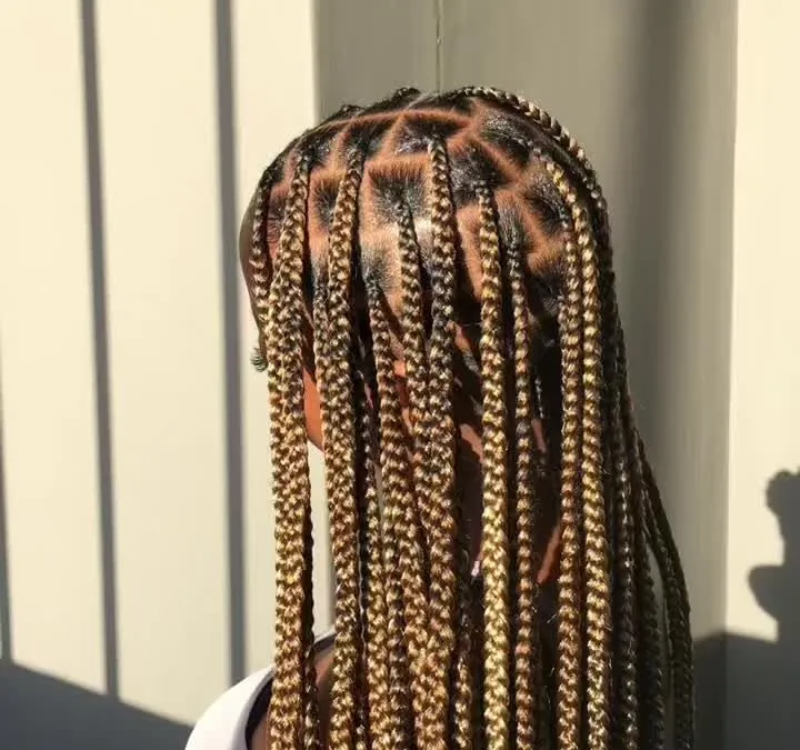 Black and Blonde Two-Tone Braids — Medium Knotless Braids