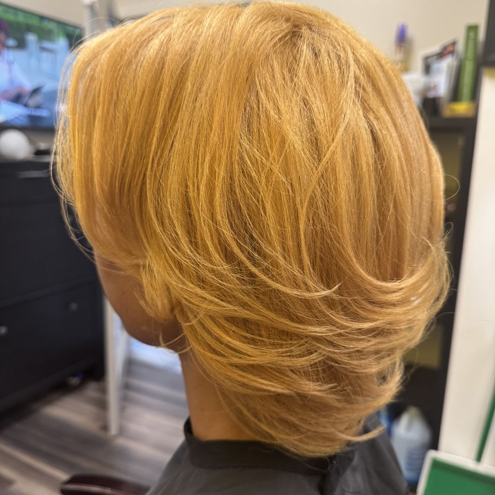 Chin Length Visual Idea — Silk Press with Layers