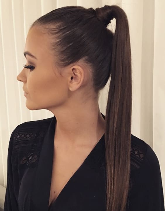 Medium Brown Sleek Ponytail Medium Brown Sleek Ponytail