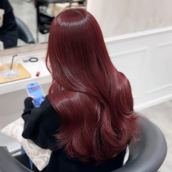 Back View Visual Idea — Dark Red Hair