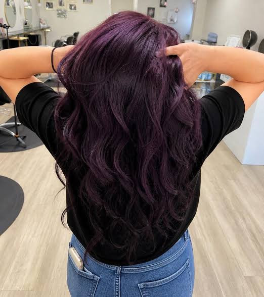 Mid-Back Layers in Rich Dark Purple — Dark Purple Hair